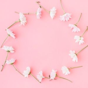 Meet your Posher, Marlene